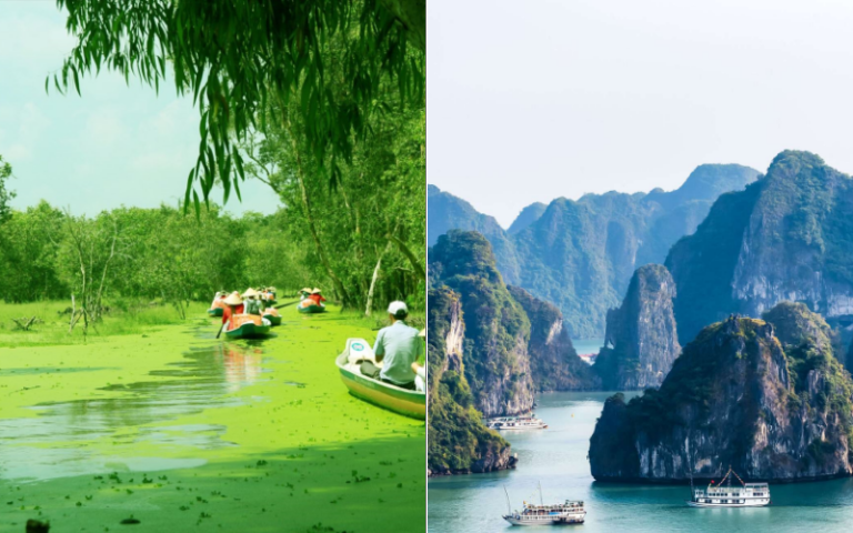 Mekong Delta or Halong Bay – Which iconic Vietnam experience should you choose