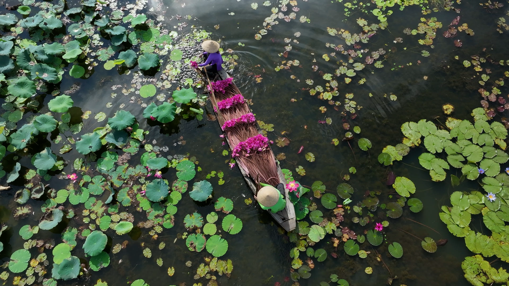 The Mekong Delta might have a slightly higher price point