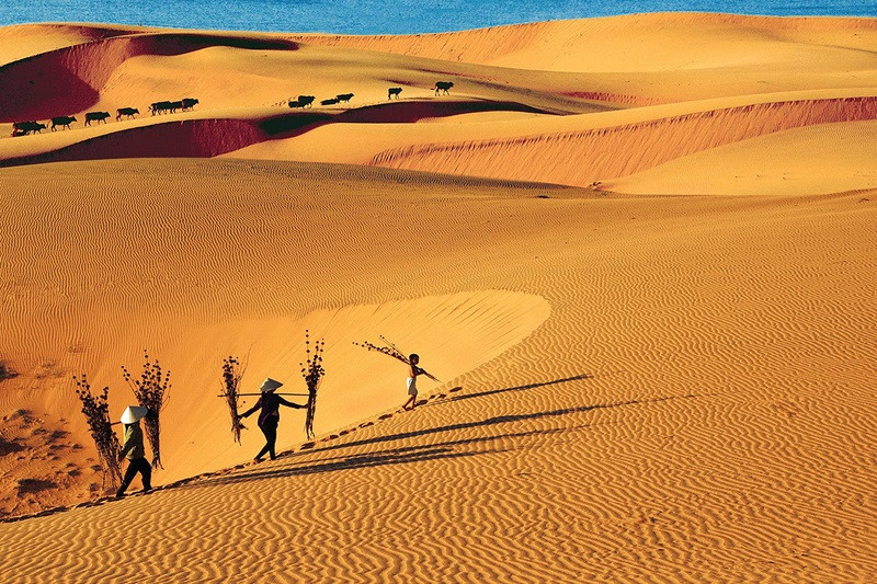 Red Sand Dunes - Mui Ne