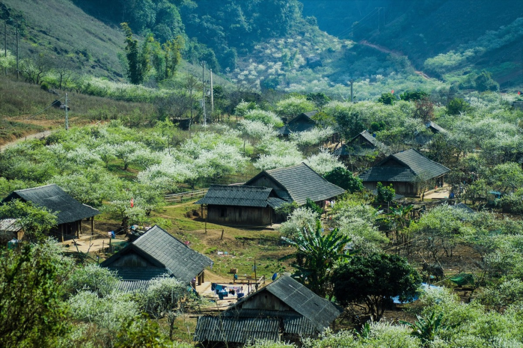 How to choose the right North Vietnam itinerary