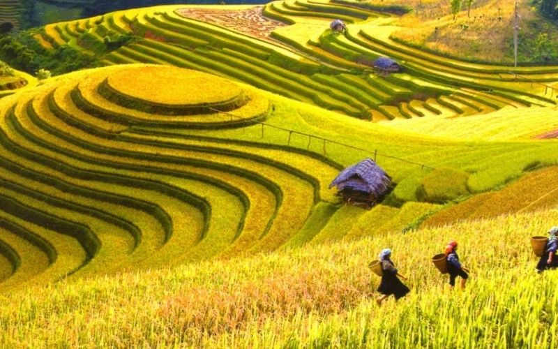 Day 9 - 10: Mai Chau