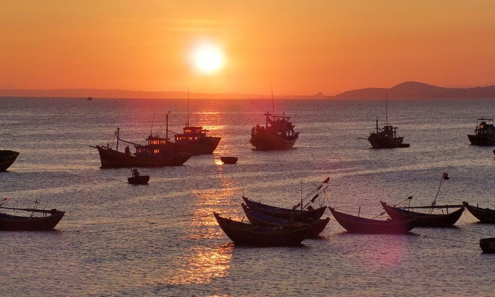The harbor is filled with hundreds of colorful basket boats (thúng) anchored near the shore