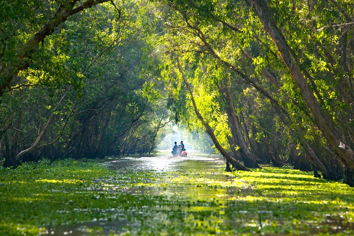 Tra Su Cajuput forest - Chau Doc