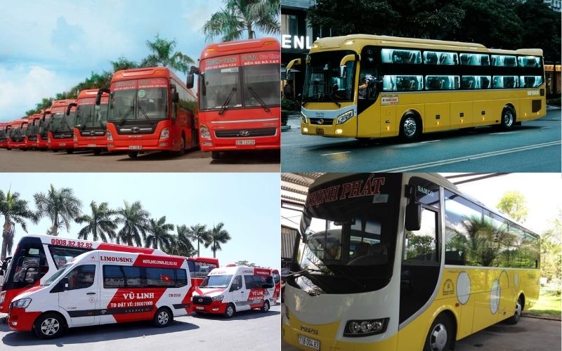 Bus companies operating these routes