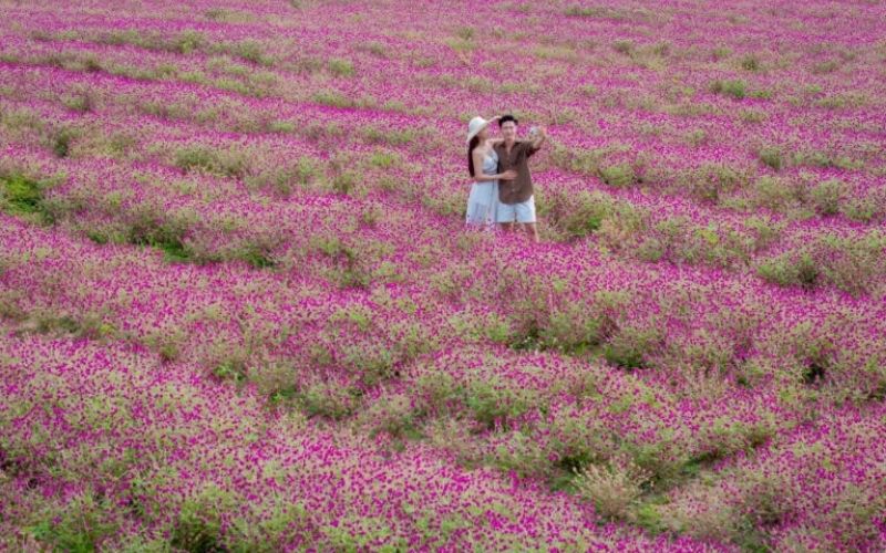 Check in at Fairy Flower Hill