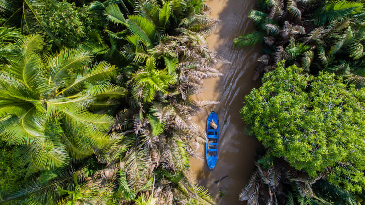 The floating markets are at their best between 5:30 AM and 7:00 AM