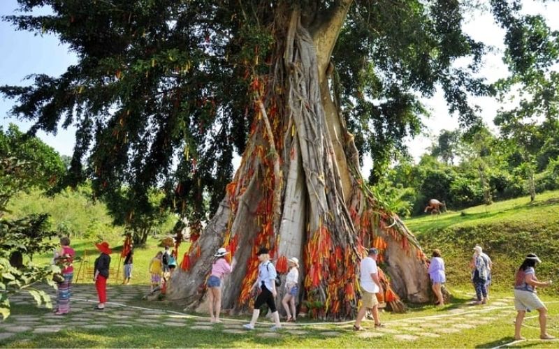 Praying under the Wishing Tree