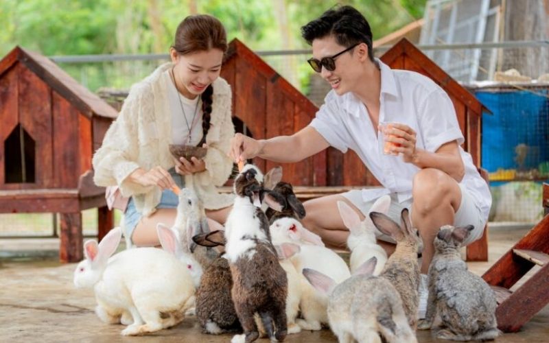 Zoo, botanical garden