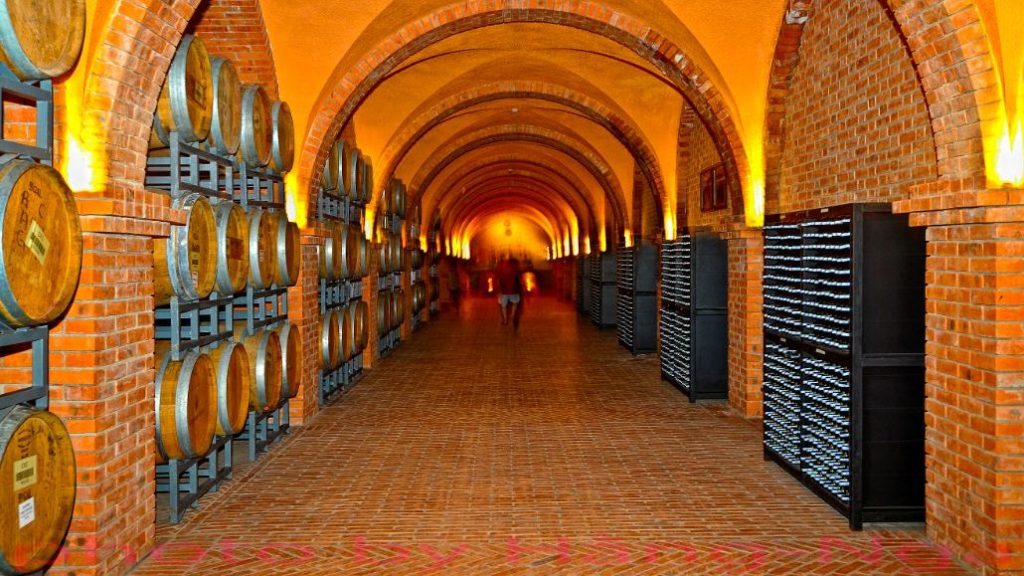Inside Wine Castle hall with chandeliers and wooden furniture RD Wine Castle