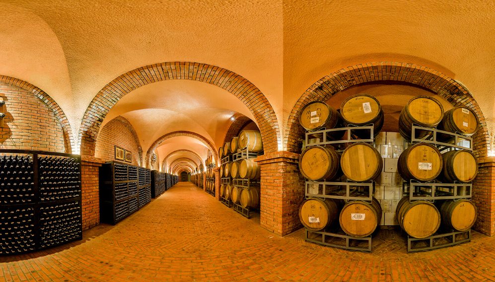 Walking through wine cellar Wine Castle Mui Ne wooden barrels and bottles