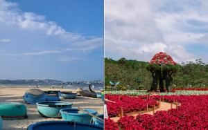 Bus from Mui Ne to Dalat – schedule, price, and travel time