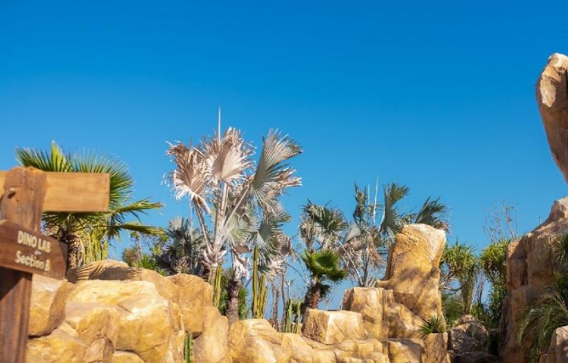 Family-friendly activities at Dino Park