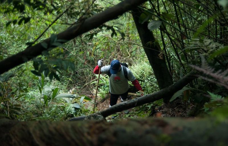 Hiking and trekking in Tam Dao National Park