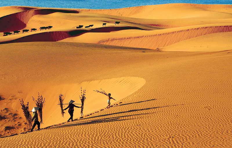 Mui Ne Sand Dunes