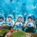 Overview of sea walking experience