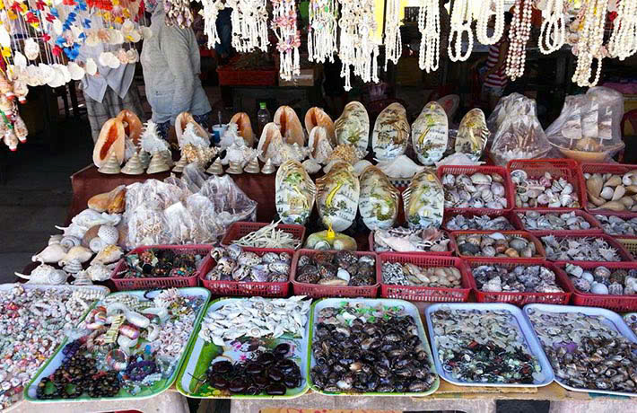 Seashell Souvenirs at Phan Thiet Night Market