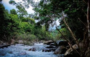 Tam Dao National Park – Overview of Vietnam’s highland nature reserve