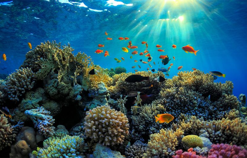 Where to do sea walker in Phu Quoc