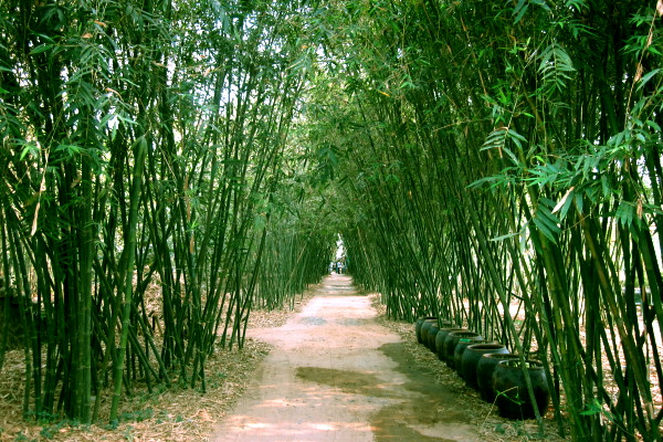 Phu An Bamboo Village Binh Duong short trip near Ho Chi Minh City