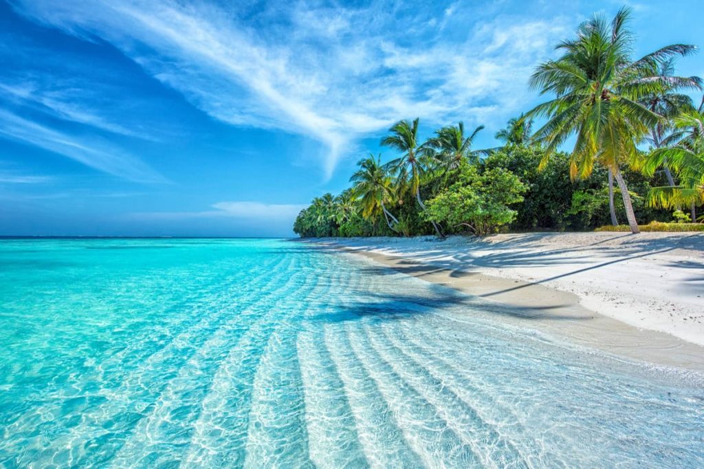 Da Nang or Nha Trang which is better?