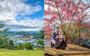 When comparing Da Lat and Sapa, one of the biggest differences is the weather