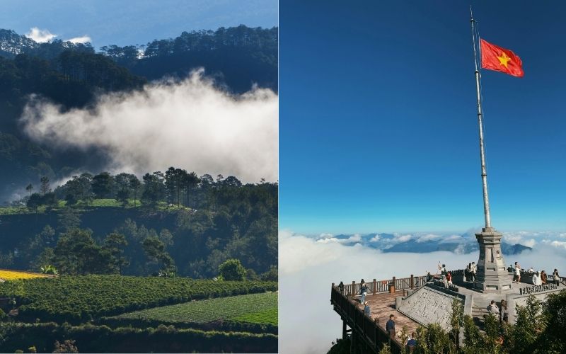 Choosing between Da Lat and Sa Pa ultimately comes down to the kind of trip you want to have 
