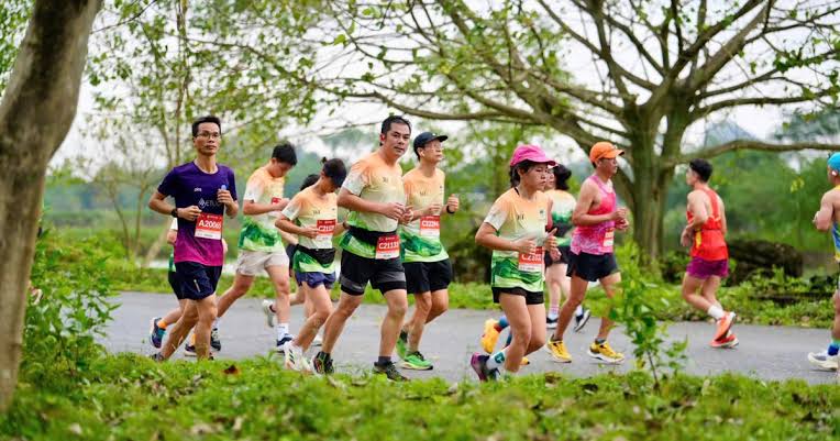 The Mekong Delta Marathon (widely hosted across Southwestern regional hubs like Hau Giang and neighboring delta provinces) 