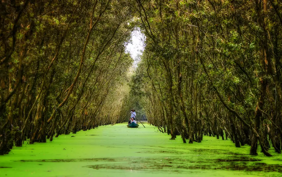 Choosing a Mekong Delta river tour allows you to navigate the region the way it was meant to be seen from the water