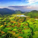 Tà Pạ rice fields