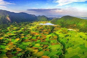 Tà Pạ rice fields