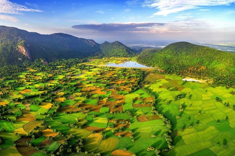 Tà Pạ rice fields