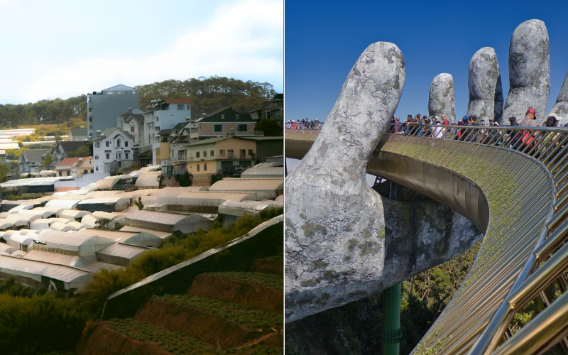 Can You Visit Both Da Lat & Da Nang in One Trip