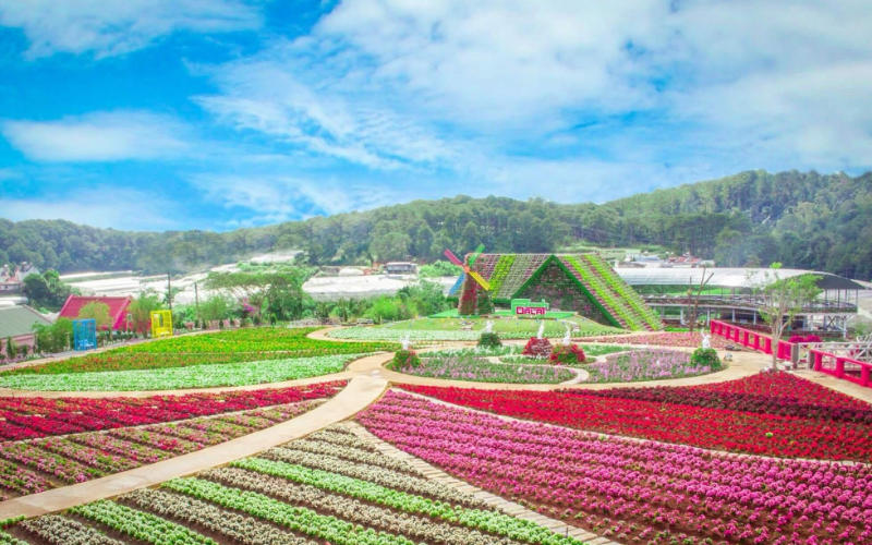 Da Lat Must-See - Dalat Flower Gardens & Strawberry Farms