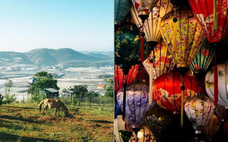 Da Lat or Hoi An - Which Vietnam Destination Should You Choose
