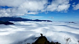 Leave crowded tourist buses far behind and dive deep into the rugged heart of Southeast Asia with a custom Vietnam adventure tour