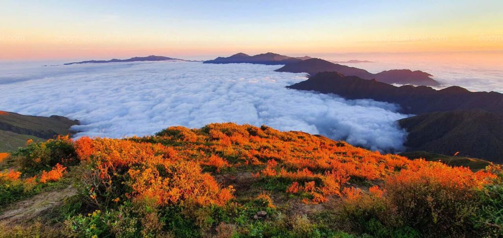 Whether you prefer a rigorous multi-day mountain trek or a gentle mix of casual cycling and kayaking, your itinerary adapts to match your fitness level and travel style.