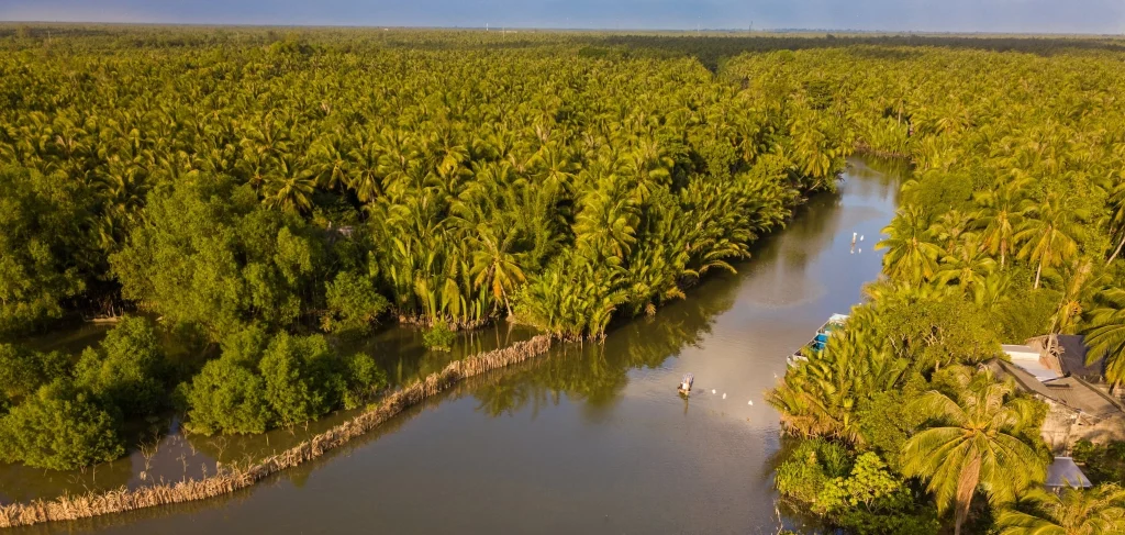 Visiting Coconut Island for the first time is a lively and bustling experience