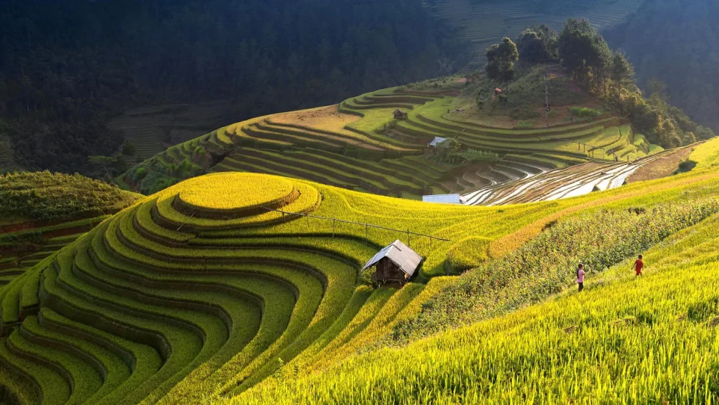 Northern Highlands: Trekking through Sapa’s rice terraces