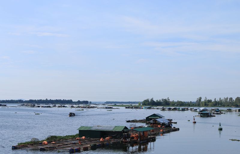 Easy Mekong Delta trips from Saigon combine river adventures, local culture, and rural scenery