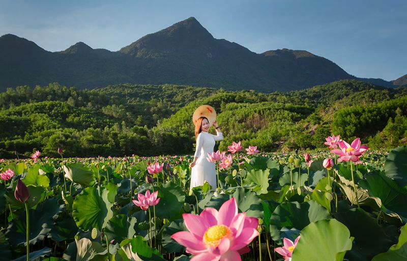 Plan your route, activities, season, and inclusions for a balanced Northern 7 day Vietnam itinerary
