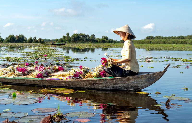 Private Vietnam tours include transport, guides, accommodation, meals, activities, and airport transfers