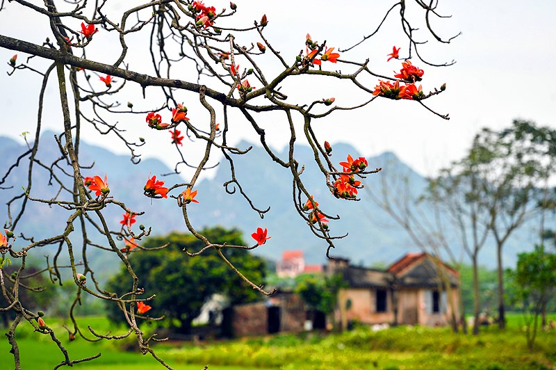 Vietnam spans several climate zones and the north, centre and south run on different calendars