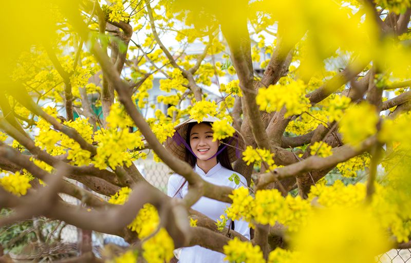Top 10-Day Vietnam Itineraries & Tour Prices 