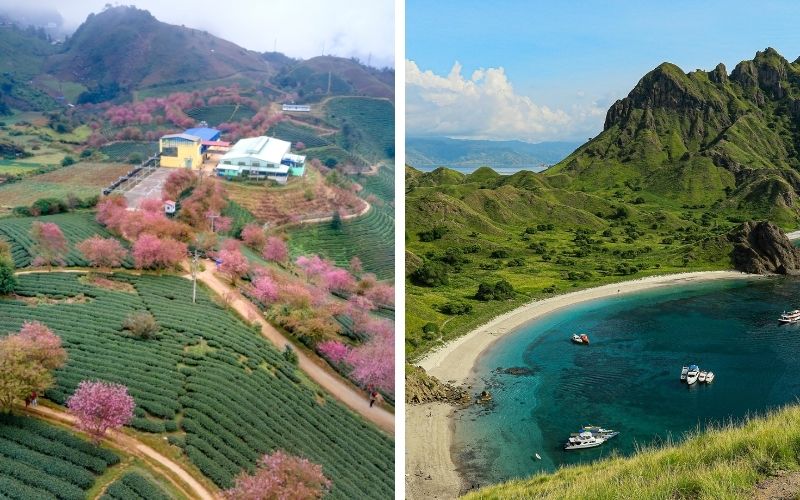 Clear mountain views and calmer days on the bay can make a big difference when planning a Sapa Halong Bay tour package