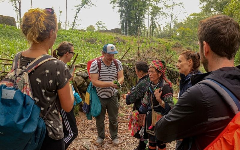 Walking from Sa Seng to Hau Thao through Sapa's mountain trails