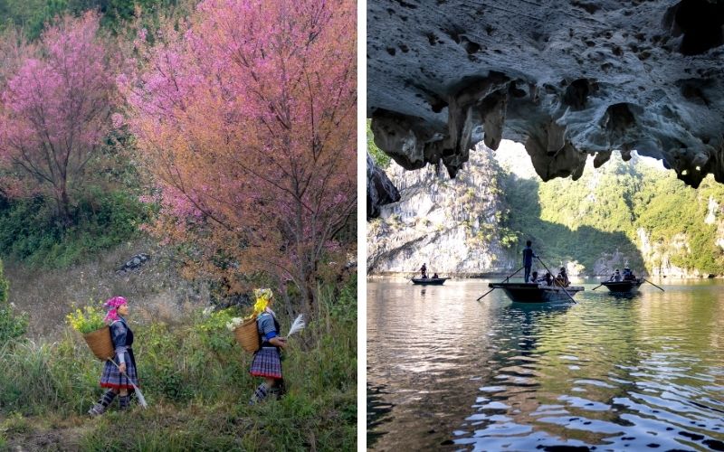 From local homestays and guided walks to cruise activities, the package brings the main parts of the journey together