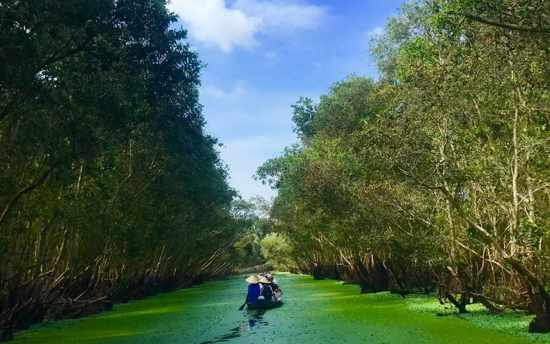 A boat moving through the green waterways of Tra Su Cajuput Forest